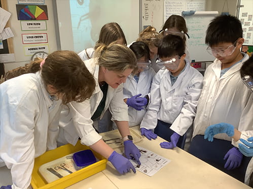 Eye dissection - Carousel For News Detail