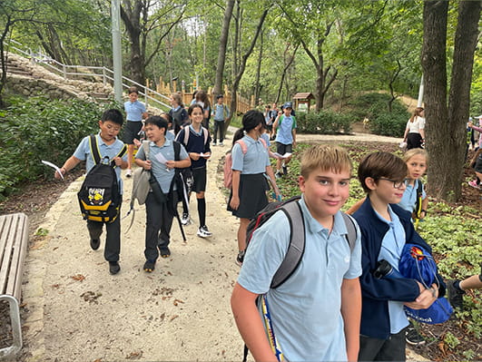 Year 6 Migration Entry Point Activity - Carousel For News Detail