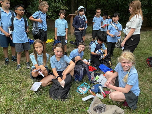 Year 6 Migration Entry Point Activity - Year 6 Migration Entry Point Activity