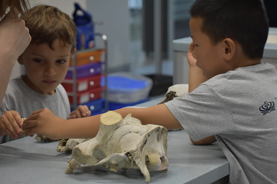 Year 1 visit to the Science Lab - Carousel For News Detail
