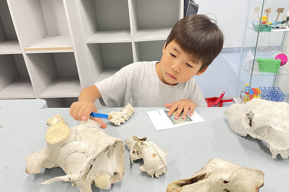 Year 1 visit to the Science Lab - Carousel For News Detail