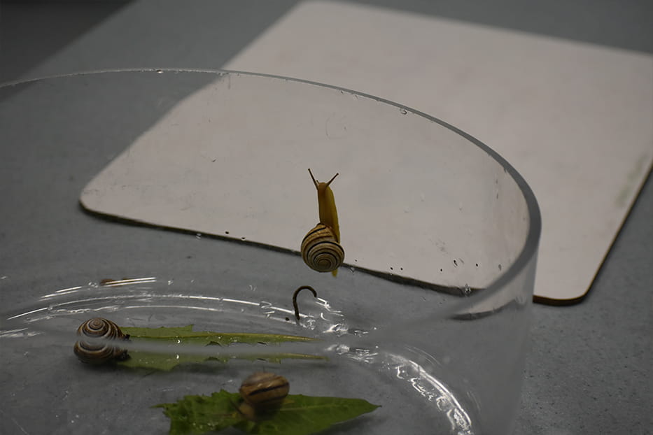 Year 1 visit to the Science Lab - Carousel For News Detail