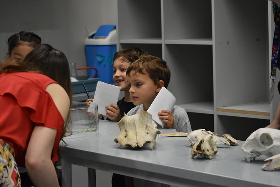 Year 1 visit to the Science Lab - Carousel For News Detail