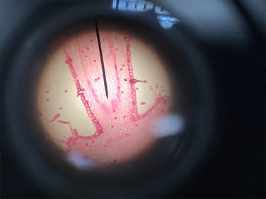 Staying Healthy - Carousel For News Detail