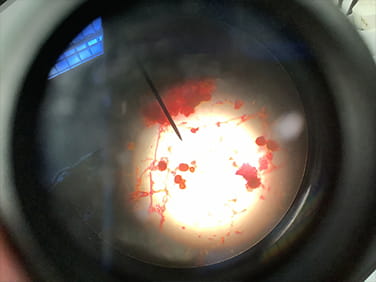 Staying Healthy - Carousel For News Detail