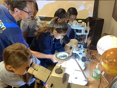 Year 5 Trip - Carousel For News Detail