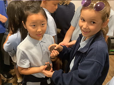 Year 5 Trip - Carousel For News Detail