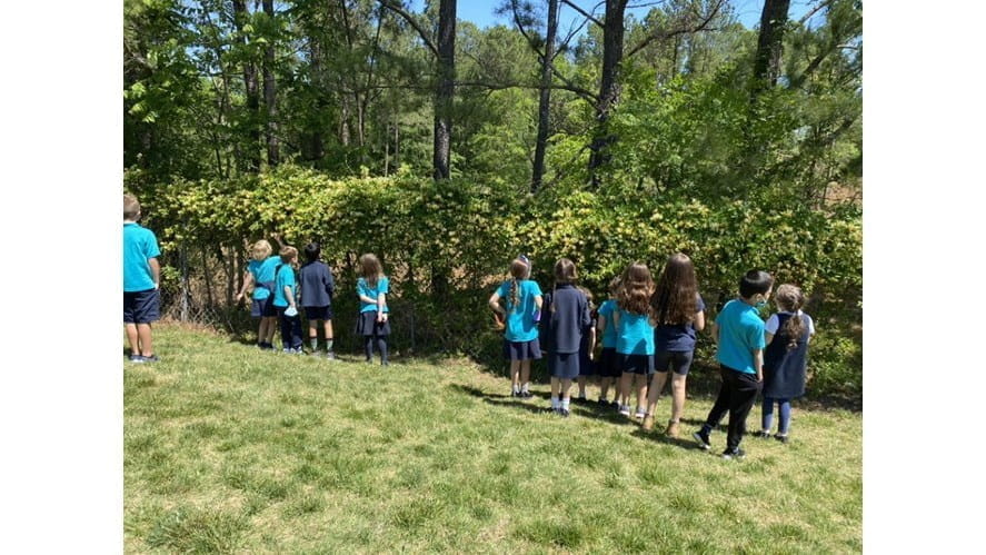 Y2 Nature