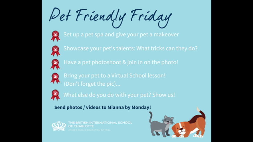 Pet Friendly Friday BLOG IMAGE