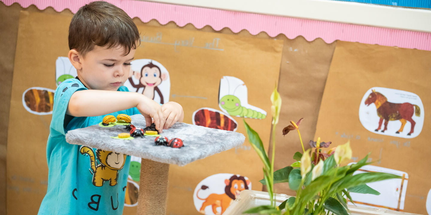 Academic Excellence | BISS Puxi | Nord Anglia - Key Fact Tiles