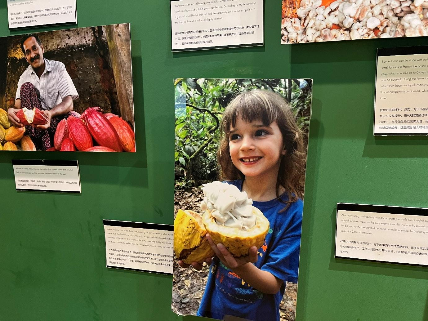 From Zero to Z at the Zotter Fabrik Shanghai - From Zero to Z at the Zotter Fabrik Shanghai