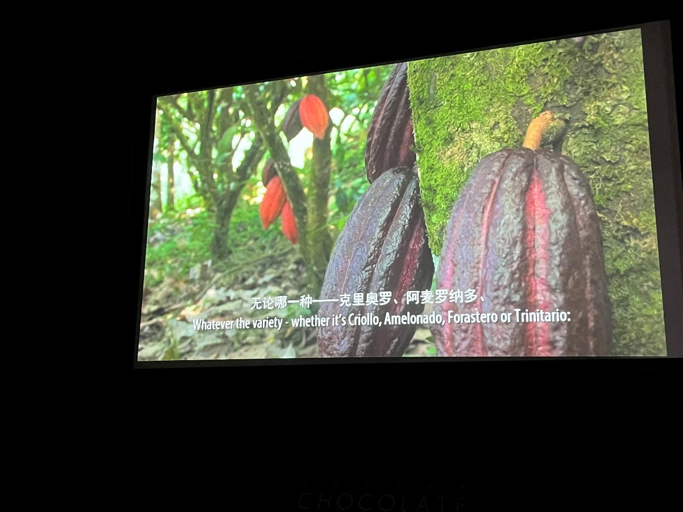 From Zero to Z at the Zotter Fabrik Shanghai - From Zero to Z at the Zotter Fabrik Shanghai