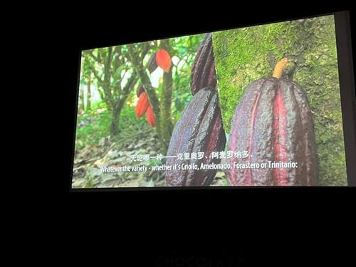 From Zero to Z at the Zotter Fabrik Shanghai - From Zero to Z at the Zotter Fabrik Shanghai