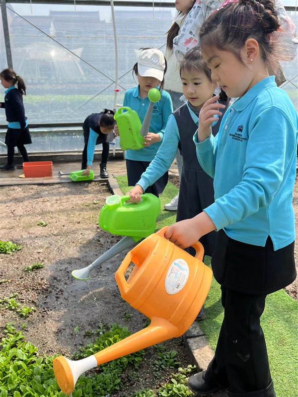 Year 2 Farm Trip - Year 2 Farm Visit