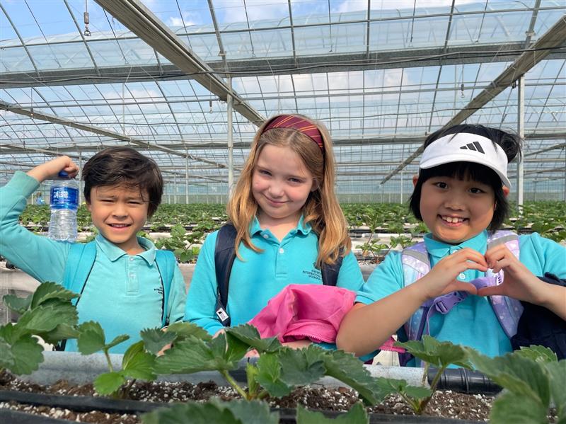 Why mastering English early matters - and how the right support speeds progress - Why mastering English early matters