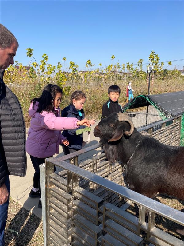 Nurturing Resilience and Emotional Wellbeing through Outdoor-Based Education - Nurturing Resilience