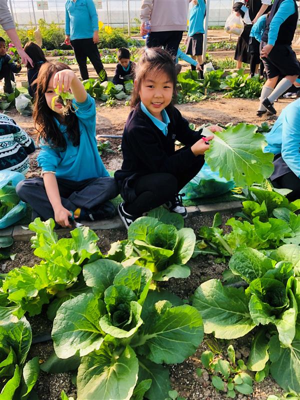 Nurturing Resilience and Emotional Wellbeing through Outdoor-Based Education - Nurturing Resilience