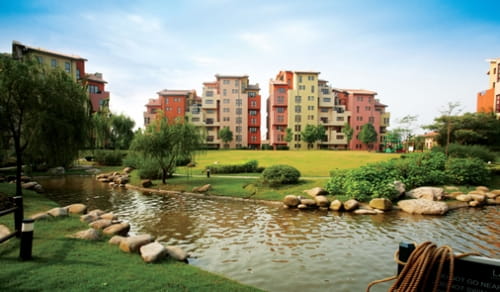 Moving to Shanghai - Feature Cards Pattern 1