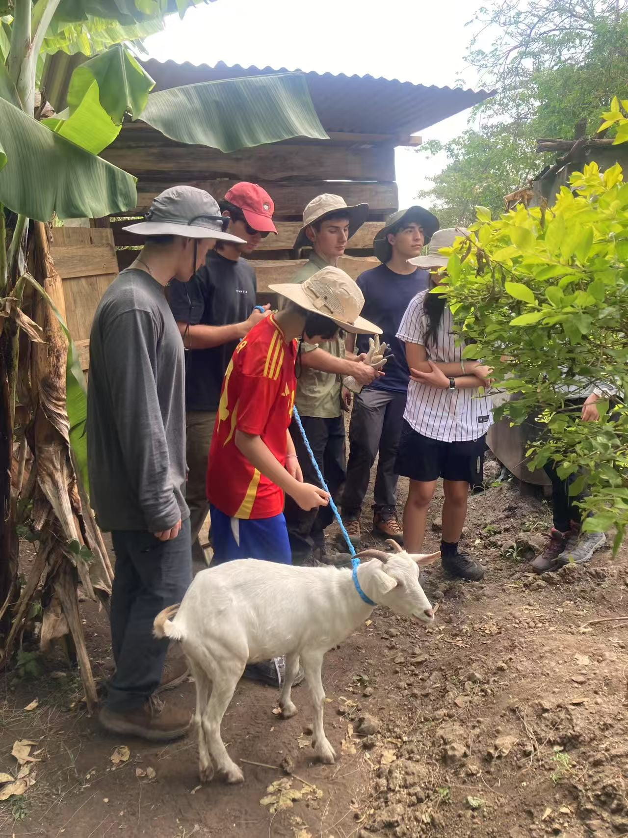 BISS Students in Tanzania - BISS Students in Tanzania