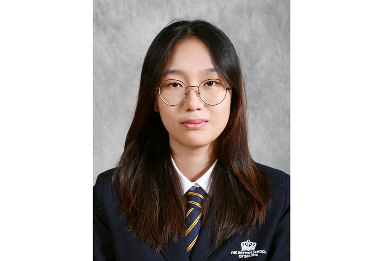 BSB学生将前往在纽约举行的NAE-联合国儿童基金会学生峰会! - BSB Students heading to NAE-UNICEF Summit in New York