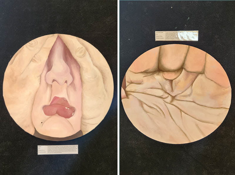 才华横溢的IB视觉艺术展2023 - Excellent Talents displayed at IB Visual Art Exhibition 2023