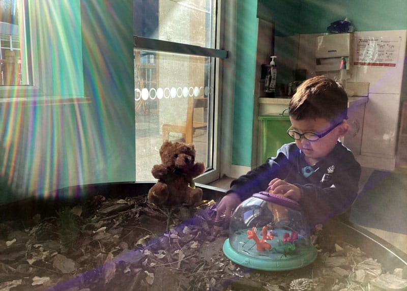 November in Nursery - November in Nursery