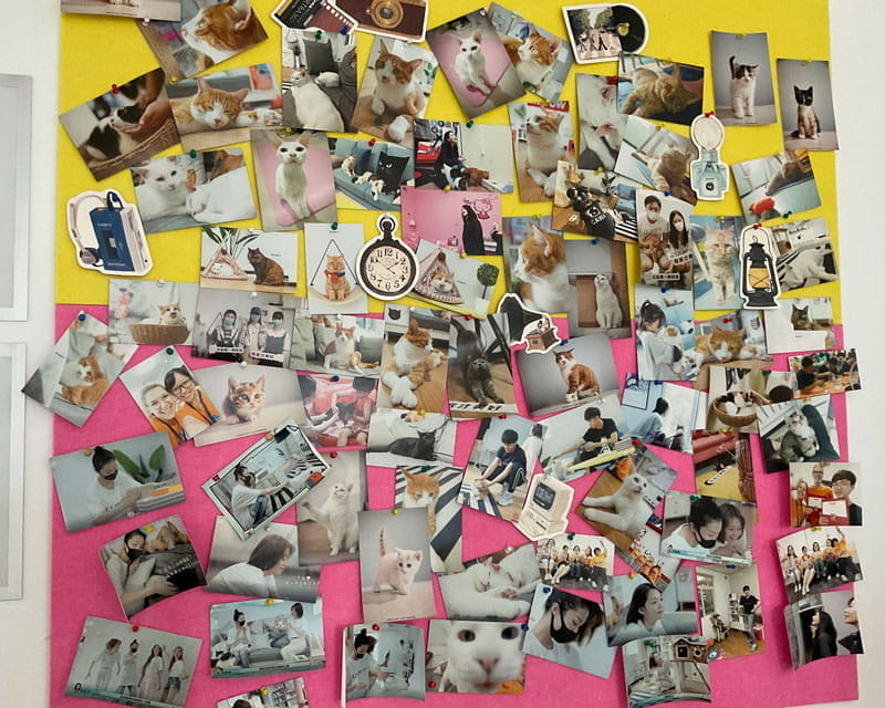 IB Diploma CAS Programme at BSB - IB Diploma CAS Programme at BSB