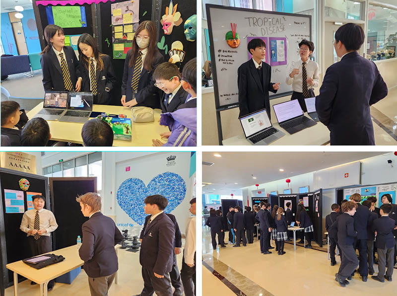 BSB的跨学科学习 - An Inspiring Week of Interdisciplinary Learning