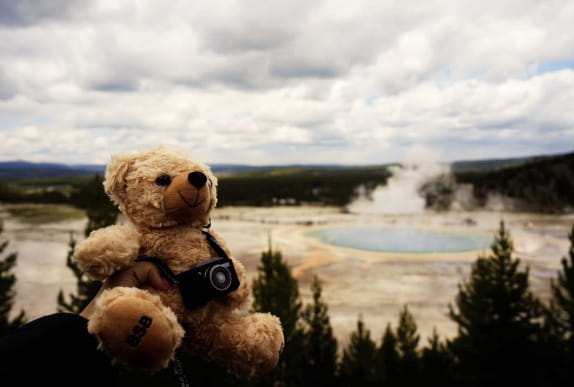 BSB Bear Travelling around the World 2024 - BSB Bear Travelling around the World 2024