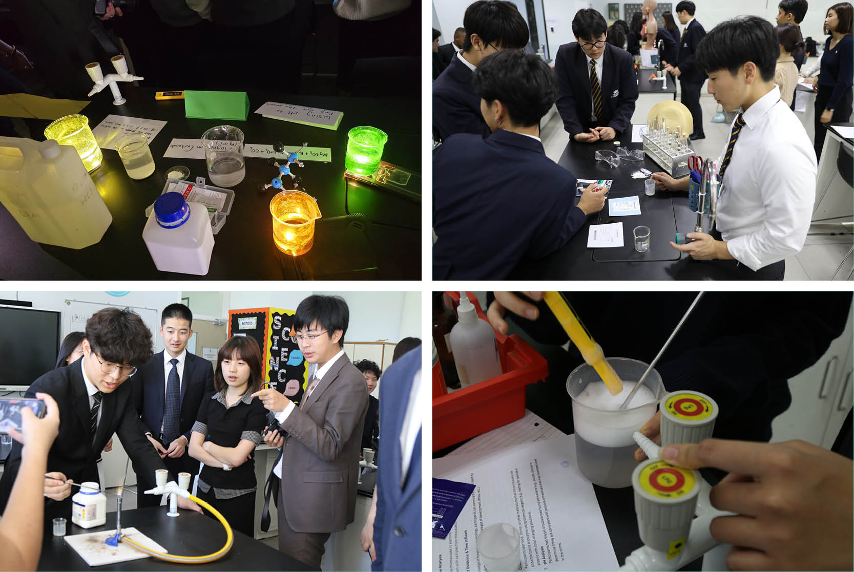IB Students Group 4 Project turn Science into a Thrilling Murder Mystery - IB Students Group 4 Project turn Science into a Thrilling Murder Mystery