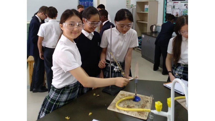 Food Energy Content Experiment Year 8 - food-energy-content-experiment-year-8