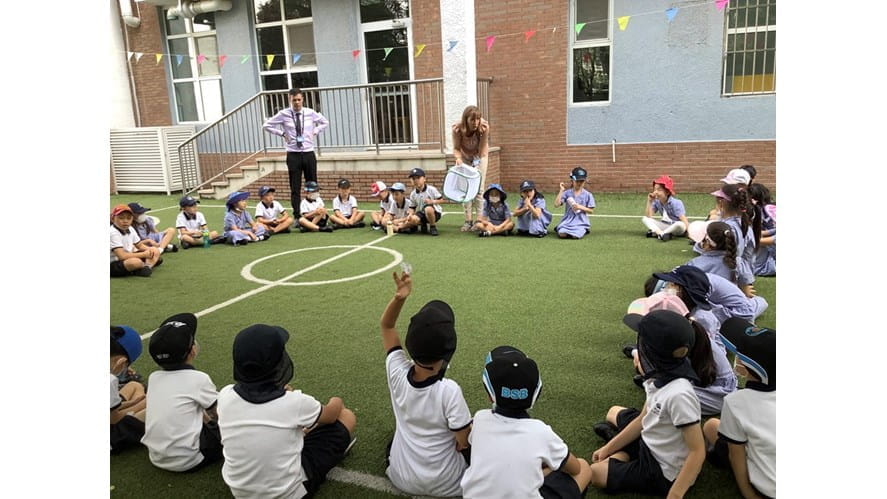 Year 2 Caterpillars and Butterflies! - year-2-caterpillars-and-butterflies