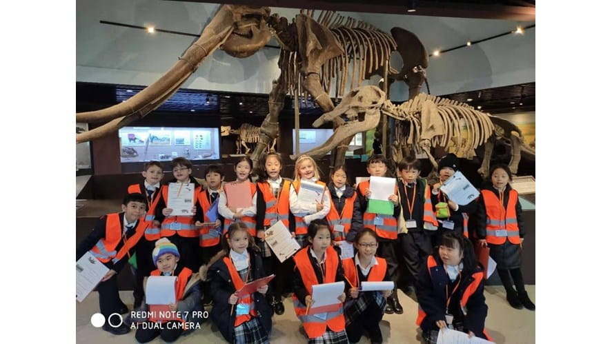 Year 3 Stone Age, Rocks & Soils - year-3-stone-age-rocks-and-soils