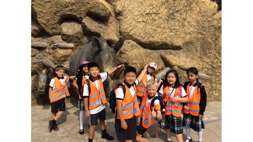 四年级——雨林,动物园和海盗! - year-4-rainforest-zoo-and-pirates