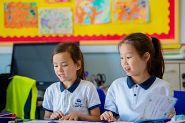 Parent Essentials | BSB Shunyi - Feature Cards Pattern