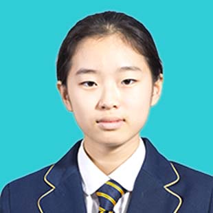 Academic Excellence | British School of Nanjing - Feature Cards Pattern