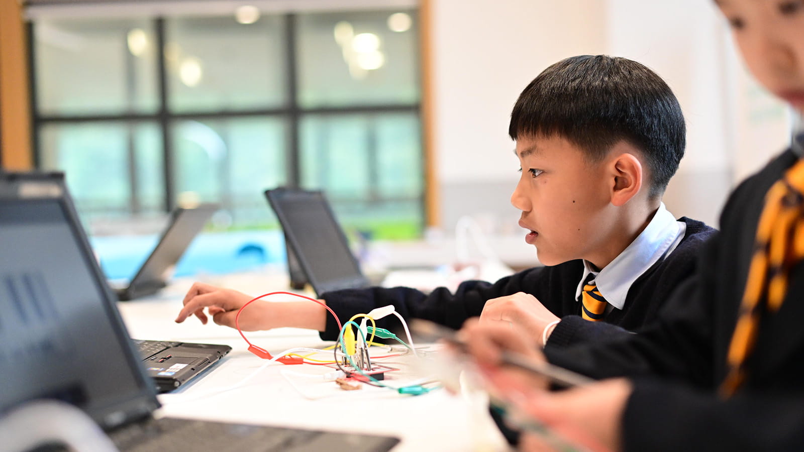 The British School of Nanjing | Nord Anglia Education - Feature Cards Pattern