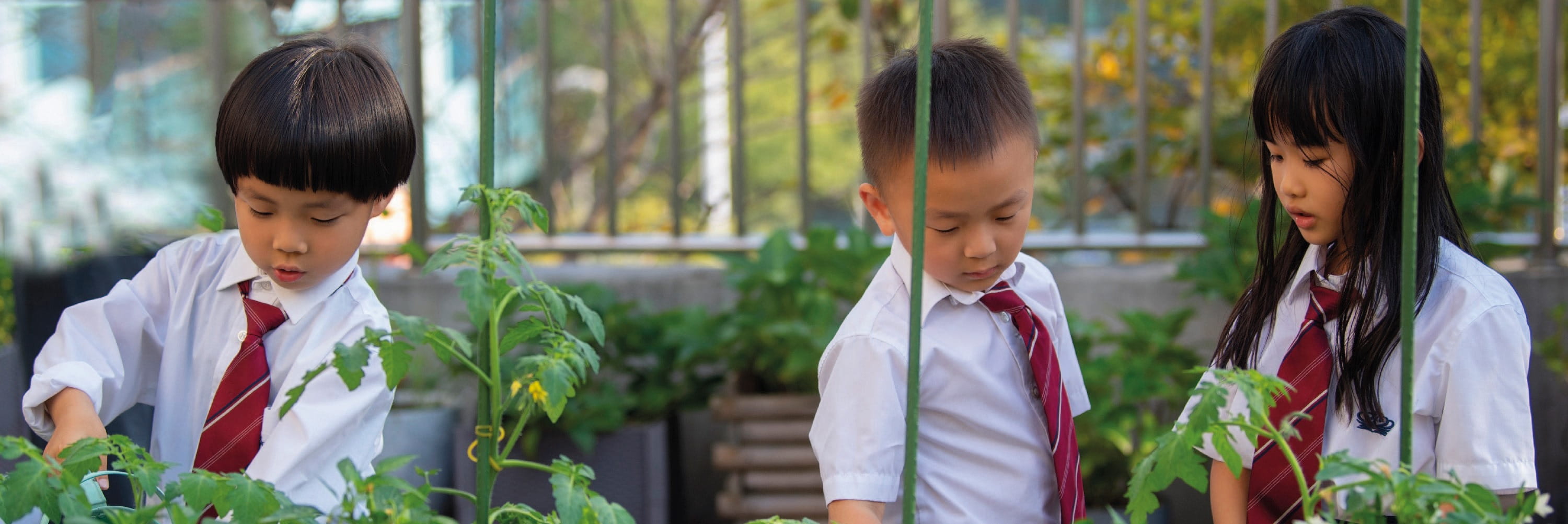 Join Our Open Day | The British School of Nanjing - Content Page Header