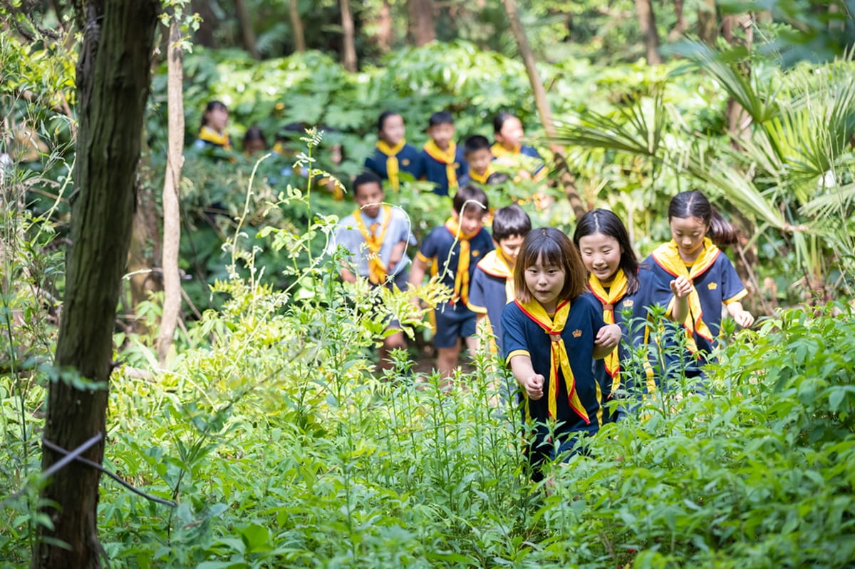 校园设施与教学设备｜南京英国国际学校 - Image-50-50
