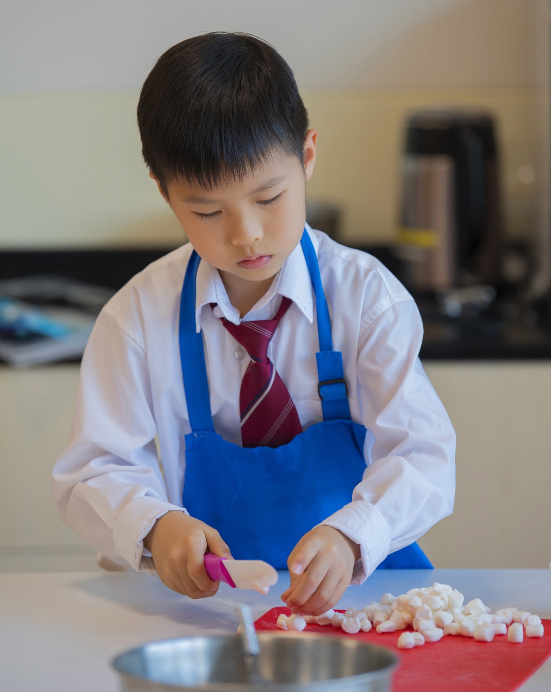 Parent Essentials | British School Nanjing - Feature Cards Pattern