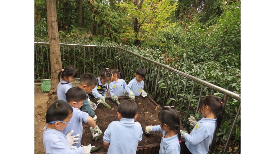 Why is Outdoor Learning important - why-is-outdoor-learning-important