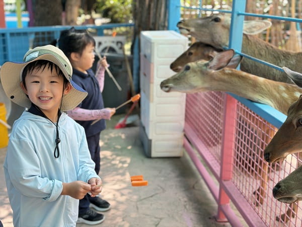 Oak Class Journey to ZiQing Lake Safari Park - Oak Class Journey to ZiQing Lake Safari Park