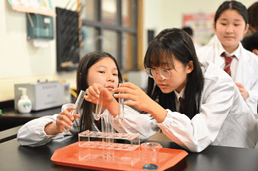 International Secondary School Nanjing | BSN Nanjing - 04 - Visual Time Line Tabs