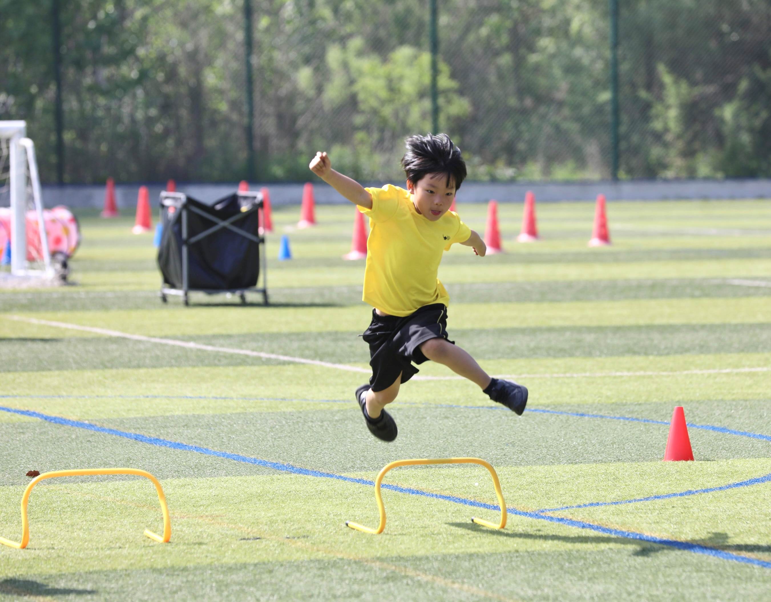 Sports Day Excitement - Sports Day