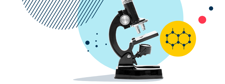 The British School of Nanjing | Nord Anglia Education - Image-50-pattern