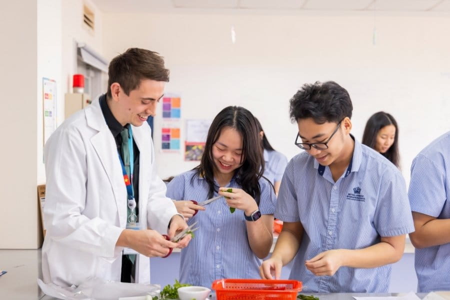 Chương trình A Level và thông tin về chứng chỉ A Level tại BVIS TP.HCM - A Level Timeline