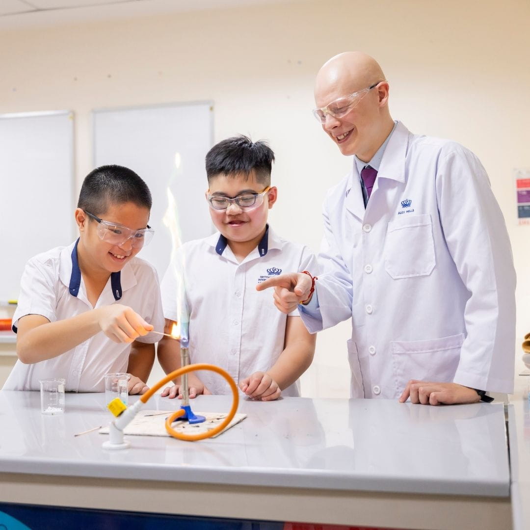 BVIS HCMC Working with us