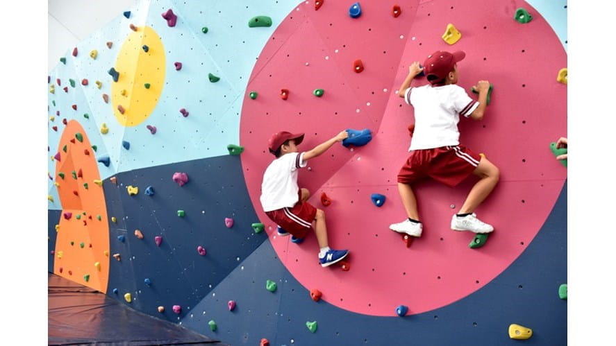 Climbing wall 4