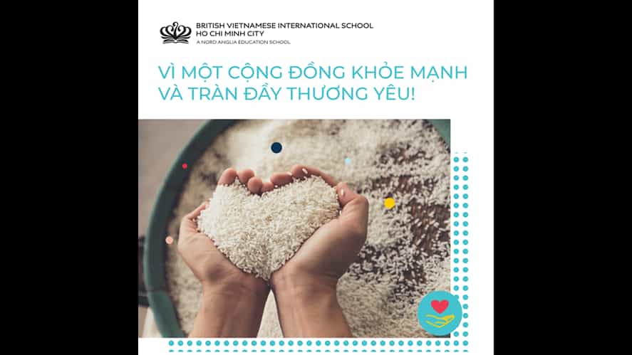 Vietnamese version