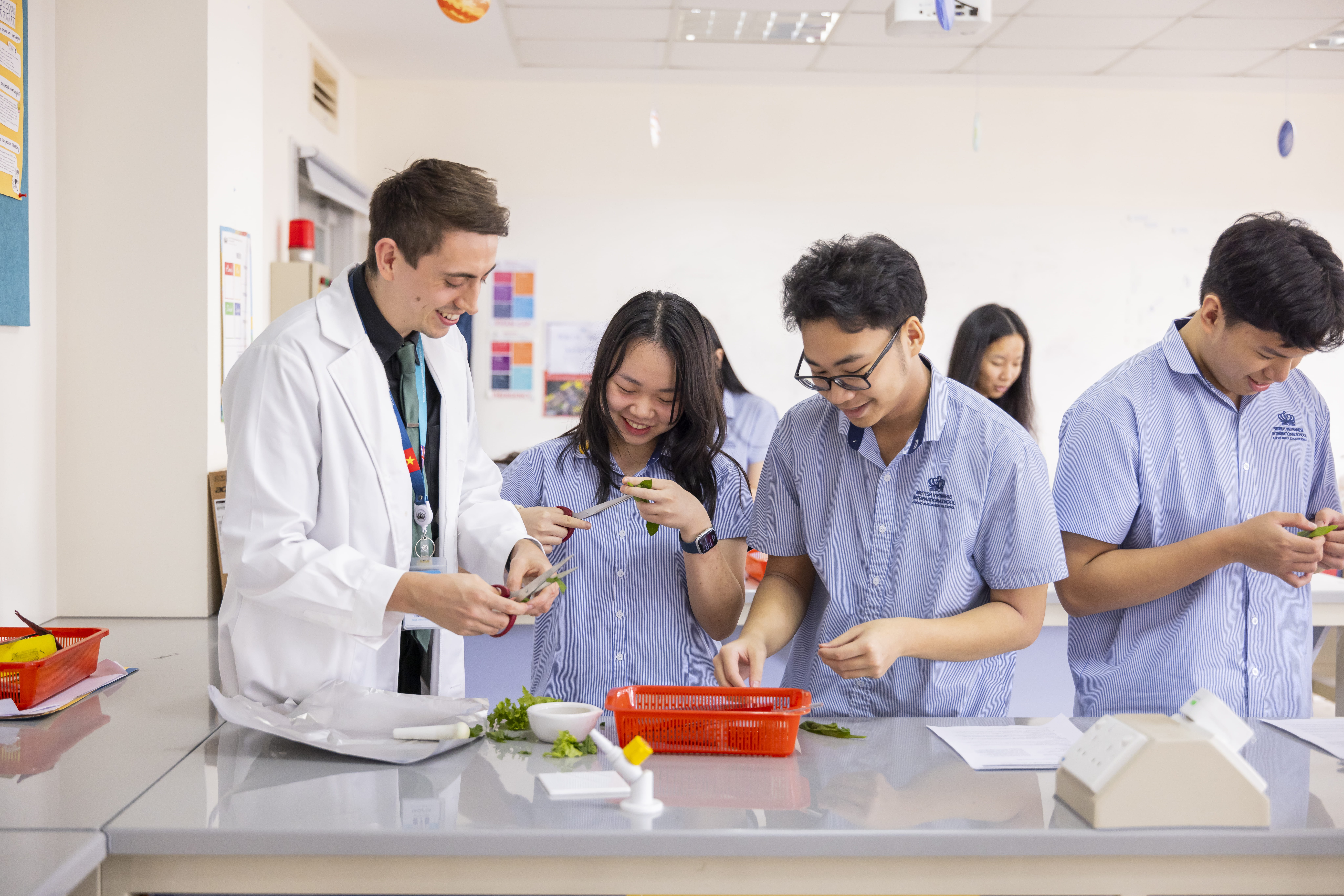 Flexible career pathways through British education  - flexible career pathways british education